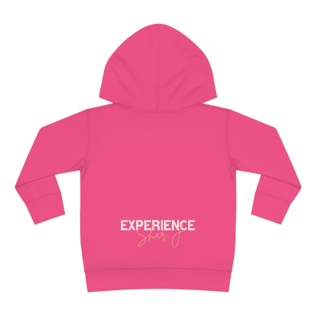 "Basquiat/Warhol Tribute" Toddler Pullover Fleece Hoodie