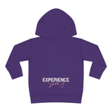 "Basquiat/Warhol Tribute" Toddler Pullover Fleece Hoodie