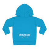 "Embodied-Diana Ross" Toddler Pullover Fleece Hoodie