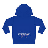 "We Are Smart...." Toddler Pullover Fleece Hoodie