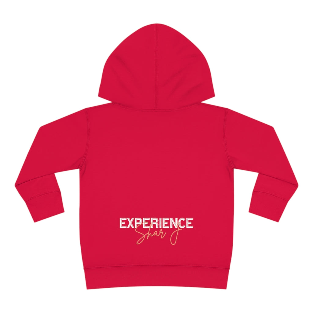 "Basquiat/Warhol Tribute" Toddler Pullover Fleece Hoodie
