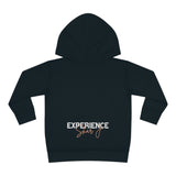 "Basquiat/Warhol Tribute" Toddler Pullover Fleece Hoodie