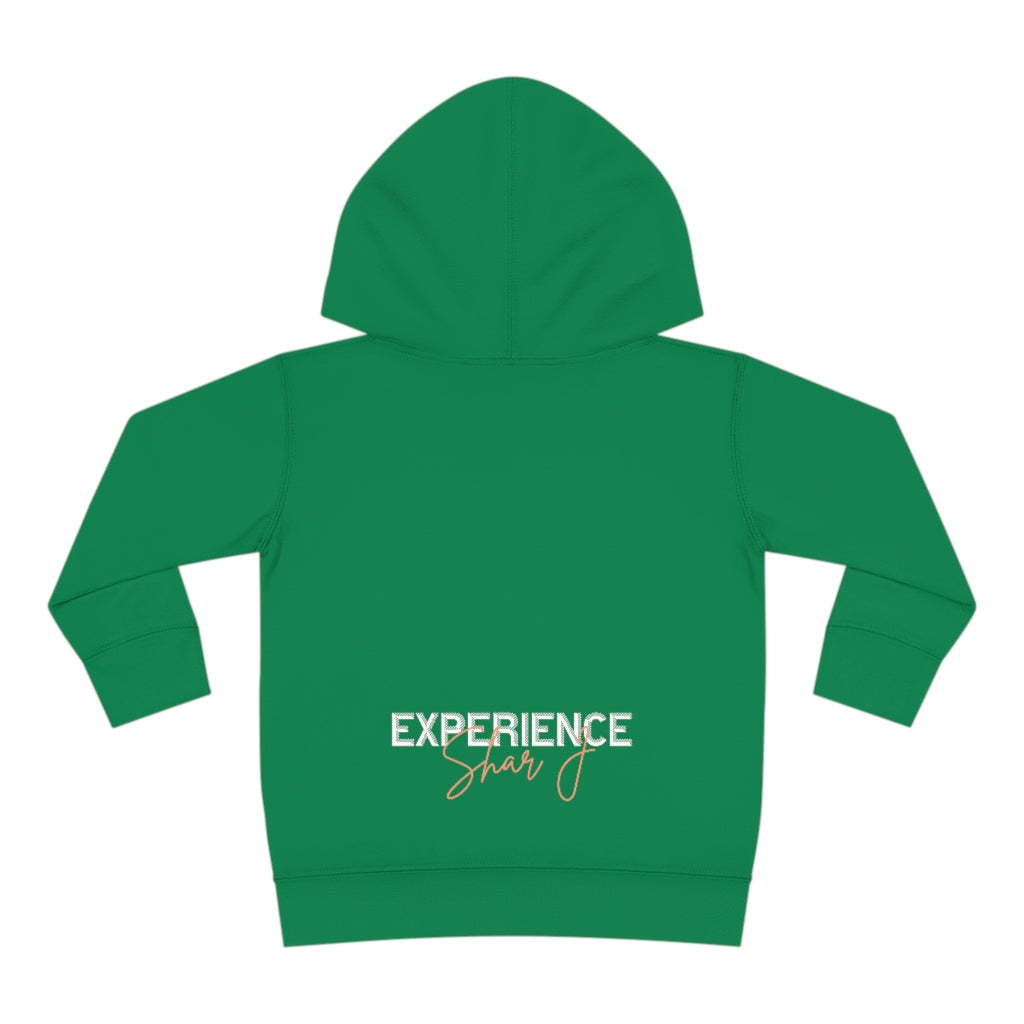 "Basquiat/Warhol Tribute" Toddler Pullover Fleece Hoodie