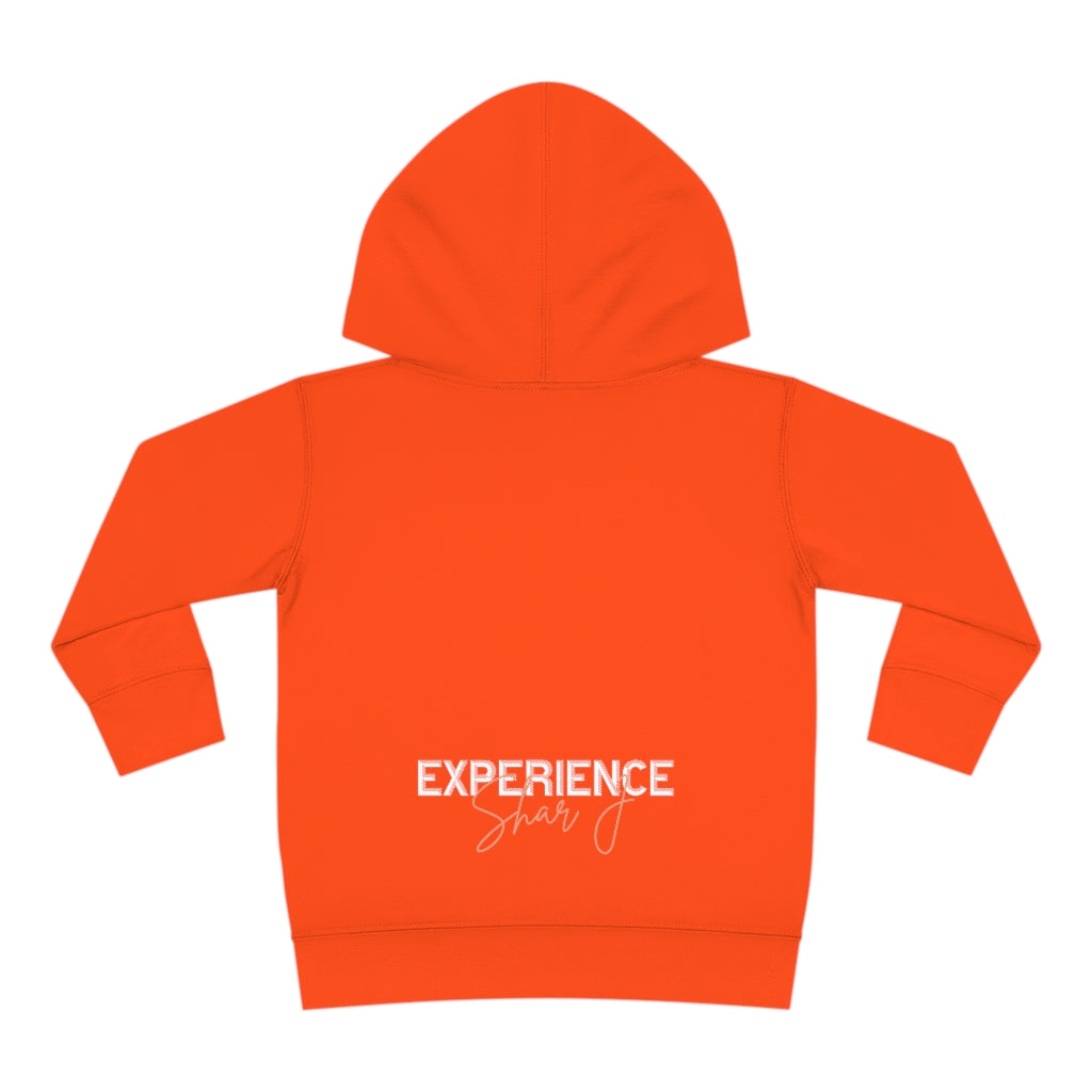 "Basquiat/Warhol Tribute" Toddler Pullover Fleece Hoodie