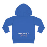 "Embodied-Diana Ross" Toddler Pullover Fleece Hoodie