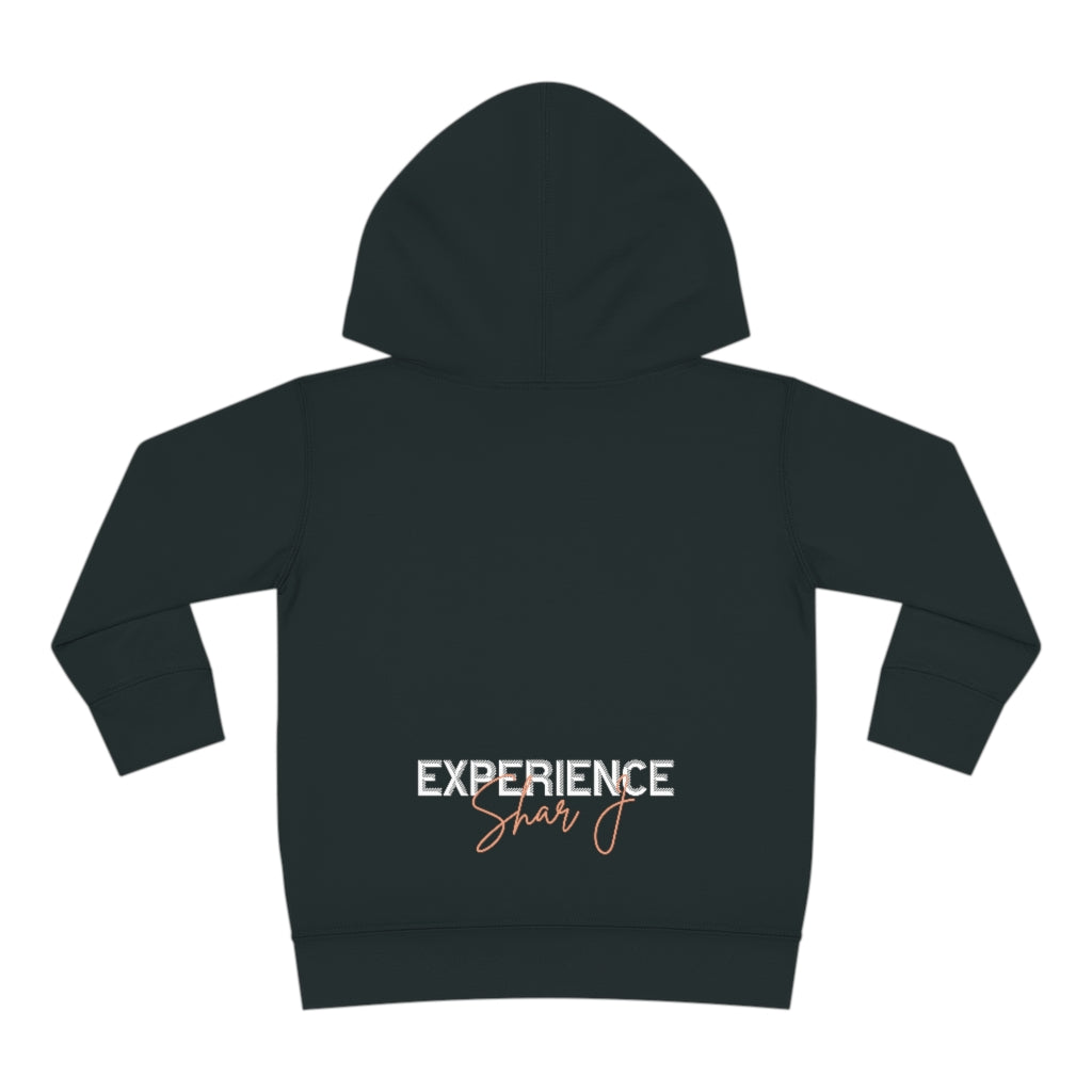 "We Are Smart...." Toddler Pullover Fleece Hoodie