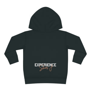 "We Are Smart...." Toddler Pullover Fleece Hoodie