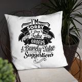 "I'm Sorry..." Basic Pillow
